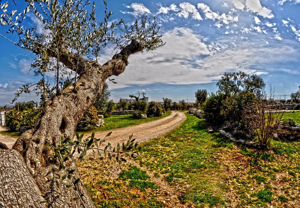 Masseria Rosa Trulli Relais Alberobello Exteriör bild